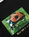 Polar Skate Co Ladybug Tee (PSC-SU25-19)