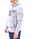 Reebok Classics Vector Hoodie (FK2662)