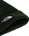 The North Face Logo Box Cuffed Beanie (NF0A8CHENLW)
