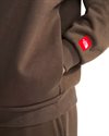 The North Face Red Box Hoodie New (NF0A8EFZ21L)